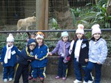 curso de ferias - zoologico 2011 (29)