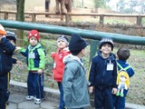 curso de ferias - zoologico 2011 (30)