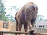 curso de ferias - zoologico 2011 (31)
