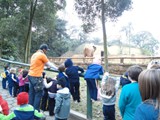 curso de ferias - zoologico 2011 (32)