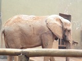 curso de ferias - zoologico 2011 (33)