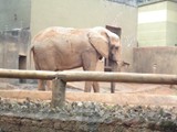 curso de ferias - zoologico 2011 (34)