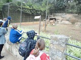 curso de ferias - zoologico 2011 (39)