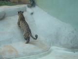 curso de ferias - zoologico 2011 (40)