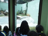 curso de ferias - zoologico 2011 (41)