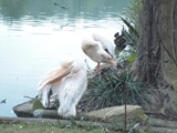 curso de ferias - zoologico 2011 (44)