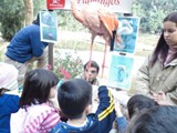 curso de ferias - zoologico 2011 (5)