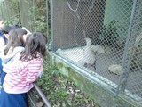 curso de ferias - zoologico 2011 (6)