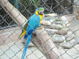 curso de ferias - zoologico 2011 (9)